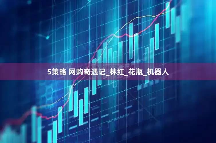 5策略 网购奇遇记_林红_花瓶_机器人