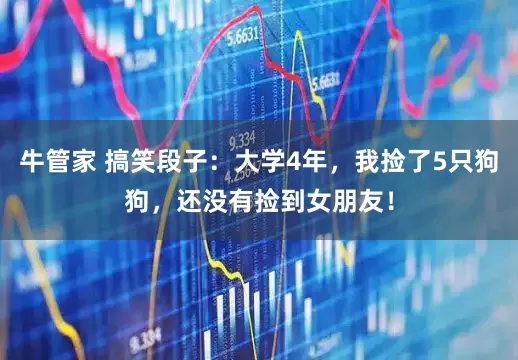 牛管家 搞笑段子：大学4年，我捡了5只狗狗，还没有捡到女朋友！